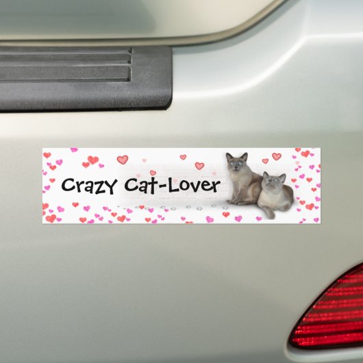 Crazy Cat-Lover Bumpersticker (Op auto)