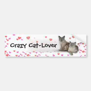 Crazy Cat-Lover Bumpersticker