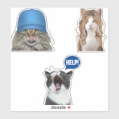 Crazy Cat Memes Sticker (Vel)