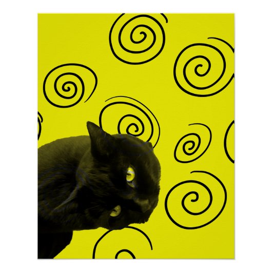 Crazy Cat Perfect Poster (Voorkant)