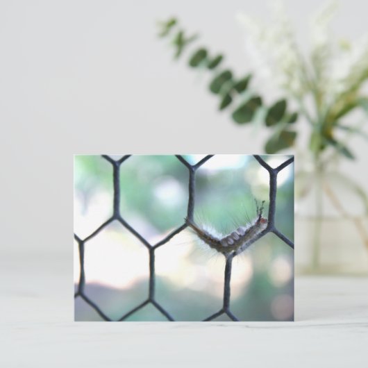 Crazy Caterpijler Briefkaart (Staand voorkant)