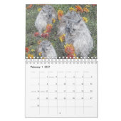 Crazy Cats en Kittens, Kalender (Feb 2027)