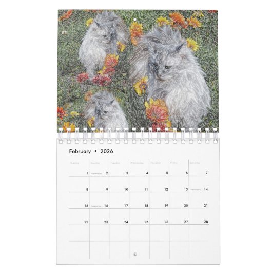 Crazy Cats en Kittens, Kalender (Feb 2026)