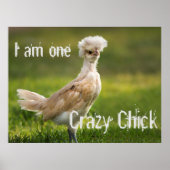Crazy Chick Funny Poster (Voorkant)