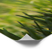 Crazy Chick Funny Poster (Hoek)