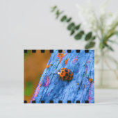 Crazy Color Bug Briefkaart (Staand voorkant)