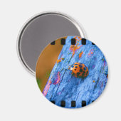 Crazy Color Bug Magneet (Voorkant / Achterkant)
