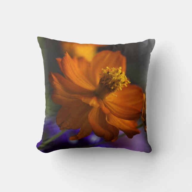 Crazy Cosmos Accent Pillow Kussen (Voorkant)