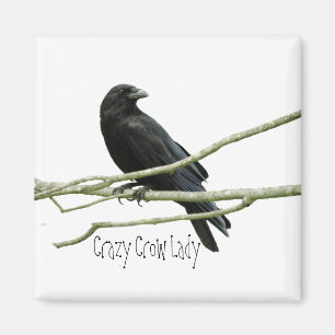 Crazy Crow Lady magneet
