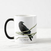 Crazy Crow Lady Mok (Links)