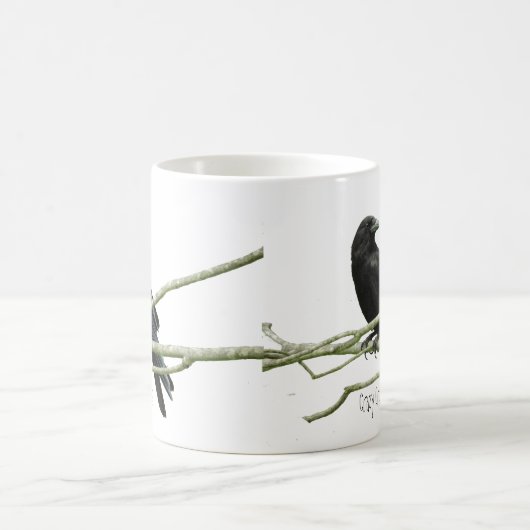 Crazy Crow Lady Mok (Center)