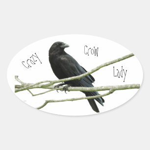 Crazy Crow Lady Ovale Sticker