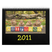 Crazy Cute Chipmunks 2011 Kalender (Hoes)