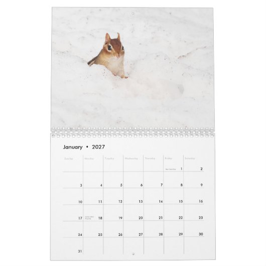 Crazy Cute Chipmunks 2011 Kalender (Jan 2027)