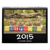 Crazy Cute Chipmunks 2015 Calendar Kalender (Hoes)
