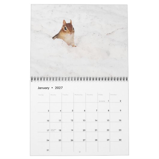 Crazy Cute Chipmunks 2015 Calendar Kalender (Jan 2027)