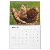 Crazy Cute Chipmunks 2015 Calendar Kalender (Mar 2027)