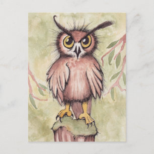 Crazy Cute Owl Briefkaart