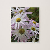 Crazy Daisies Puzzel