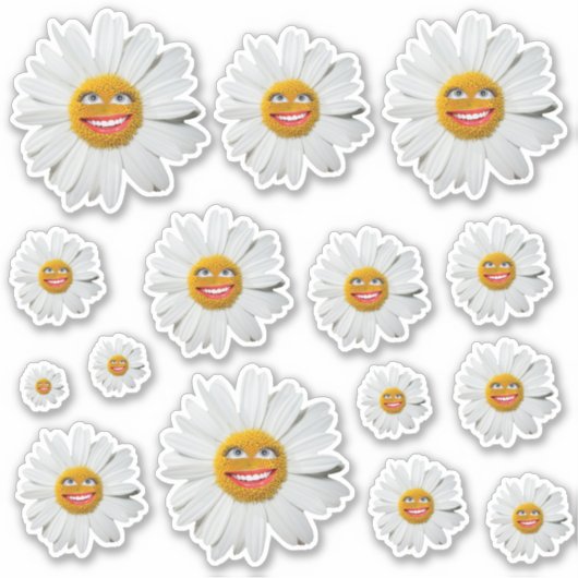 Crazy Daisy Stickers (Voorkant)