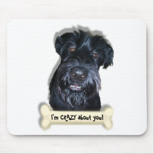 Crazy Dog en bot Muismat