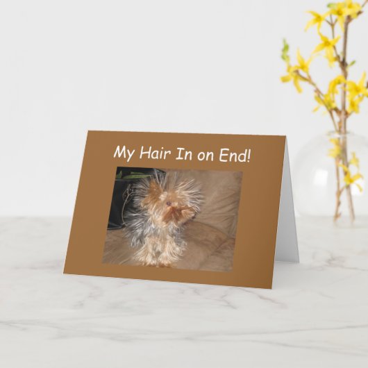 CRAZY DOG HAIR "40th" BIRTHDAY Kaart (Gele Bloem)