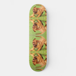 Crazy Dog Persoonlijk Skateboard
