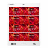 CRAZY FOTON monogram Vibrant zwart roze rood Etiket (Full Sheet)
