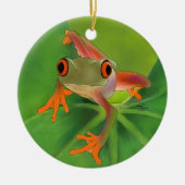 Crazy Frog Ornament met achtergrond (Voorkant)