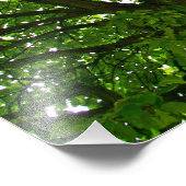 Crazy Green Tree Foto Afdruk (Hoek)