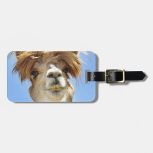 Crazy Hair Alpaca Bagagelabel