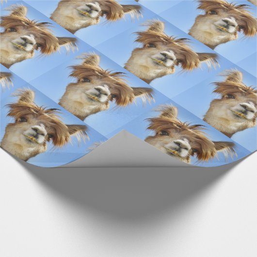 Crazy Hair Alpaca Cadeaupapier (Hoek)