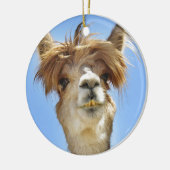 Crazy Hair Alpaca Keramisch Ornament (Links)