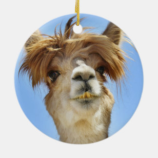 Crazy Hair Alpaca Keramisch Ornament