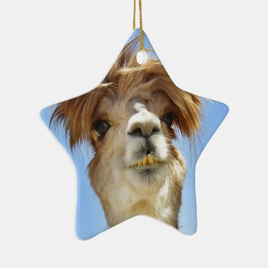 Crazy Hair Alpaca Keramisch Ornament (Rechts)