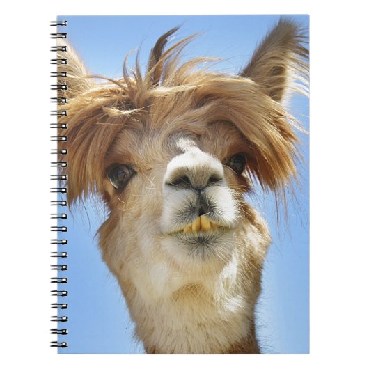 Crazy Hair Alpaca Notitieboek (Voorkant)