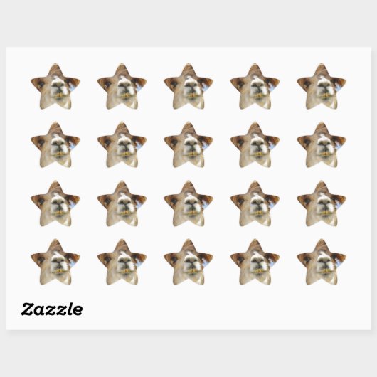 Crazy Hair Alpaca Ster Sticker (Vel)