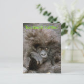 Crazy Hair Monkey te veel koffie Briefkaart (Staand voorkant)