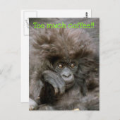 Crazy Hair Monkey te veel koffie Briefkaart (Voorkant / Achterkant)
