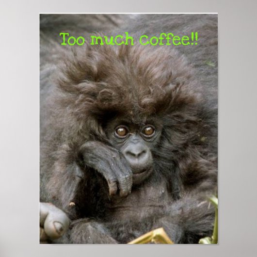 Crazy Hair Monkey te veel koffie Poster (Voorkant)
