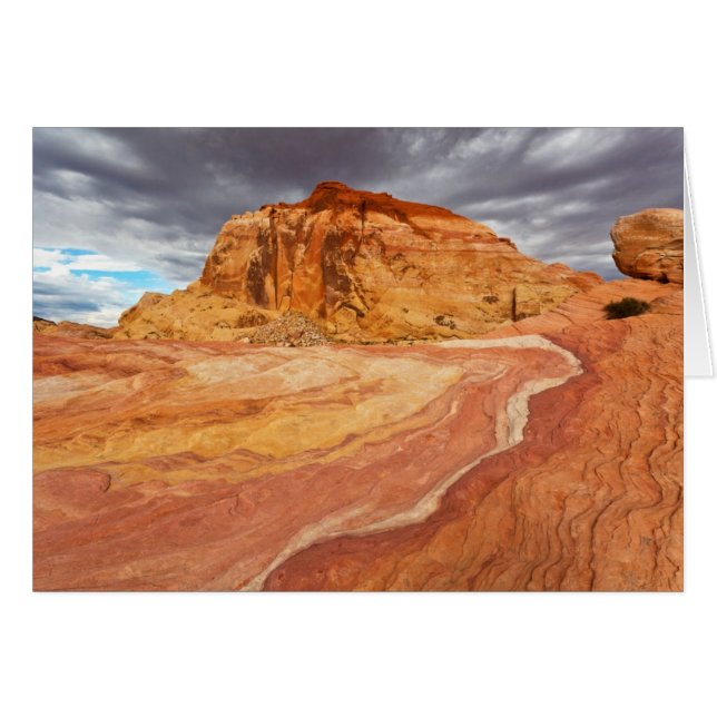 Crazy Hill Tempest (Voorkant Horizontaal)