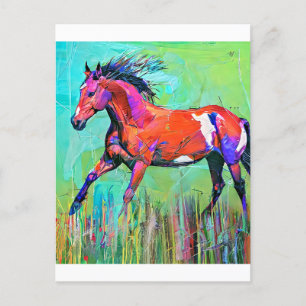 Crazy horse briefkaart