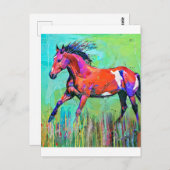 Crazy horse briefkaart (Voorkant / Achterkant)