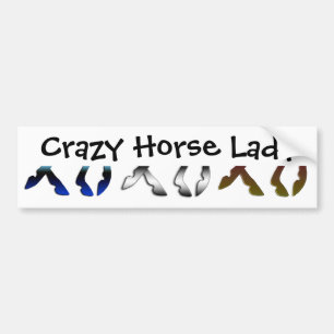 Crazy Horse Lady Bumpersticker