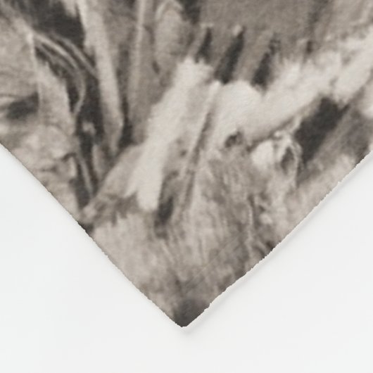 Crazy Horse Portrait Fleece Deken (Hoek)