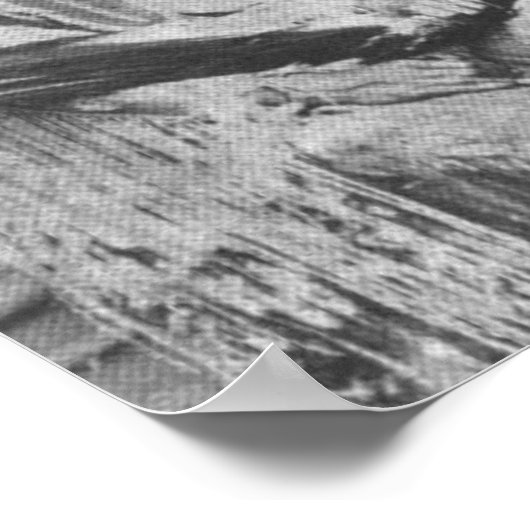 Crazy Horse Poster (Hoek)