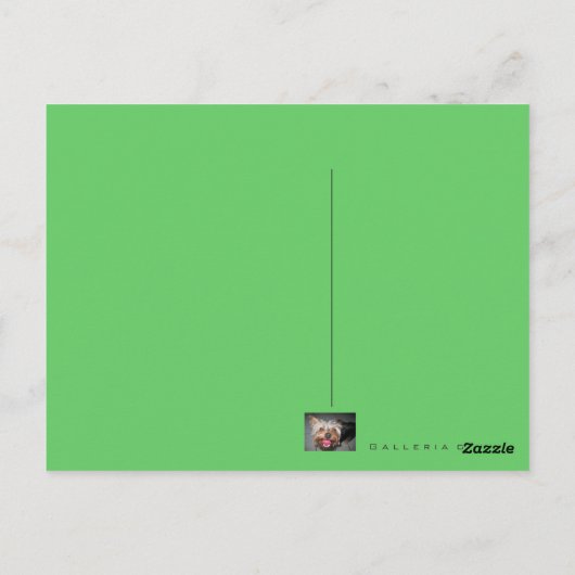 Crazy Jasper ~ Briefkaart (Achterkant)