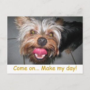 Crazy Jasper ~ Briefkaart