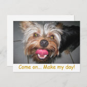 Crazy Jasper ~ Briefkaart (Voorkant / Achterkant)