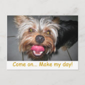 Crazy Jasper ~ Briefkaart (Voorkant)